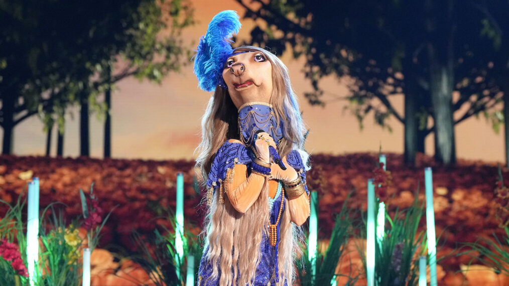 Afghan Hound — 'The Masked Singer' Season 11