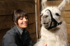 Grace Palmer with a llama in the 'Skunks and Llamas' episode of Animal Control