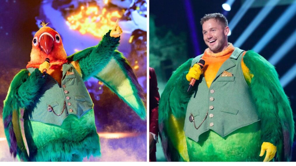 Lovebird is Colton Underwood in The Masked Singer 