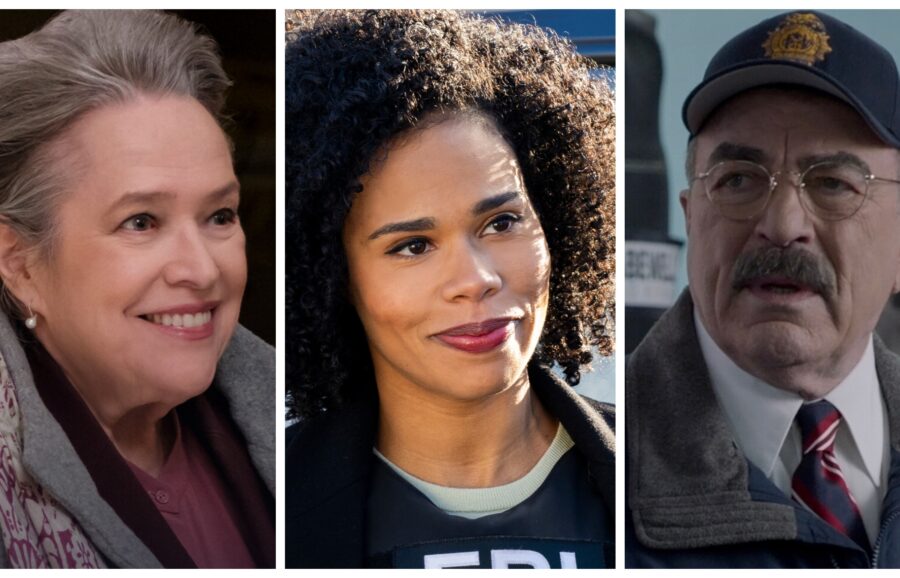 Elsbeth CBS & Paramount+ Series Where To Watch