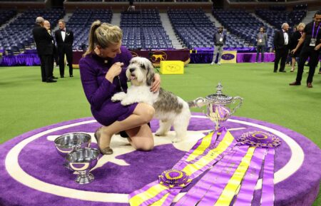 Westminster Kennel Club Dog Show Buddy Holly