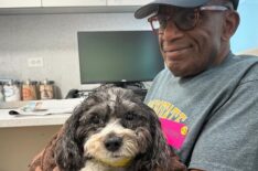 Al Roker Misses 'Today' Show as His Dog Undergoes Emergency Surgery