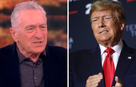 Robert De Niro Donald Trump 'The View'