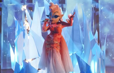 Goldfish in 'The Masked Singer' Season 11 Finale