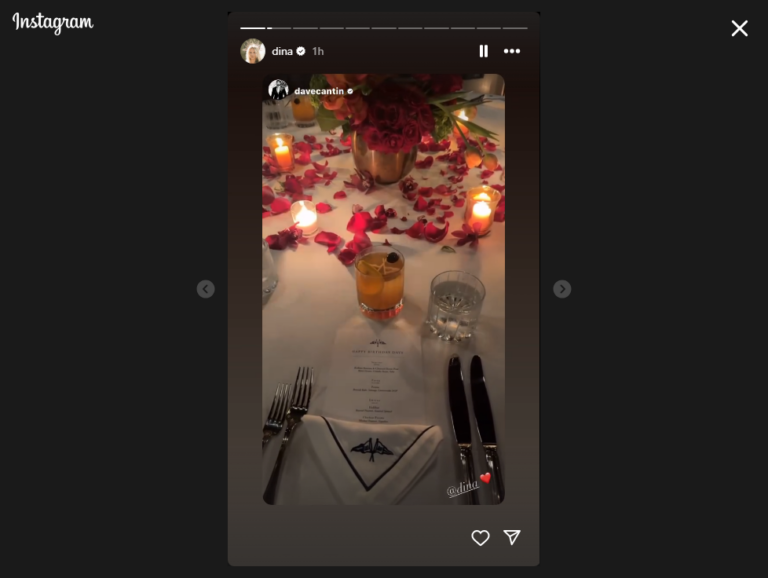 'RHONJ's Dina Manzo Celebrates Husband's Birthday After Ex's Sentencing