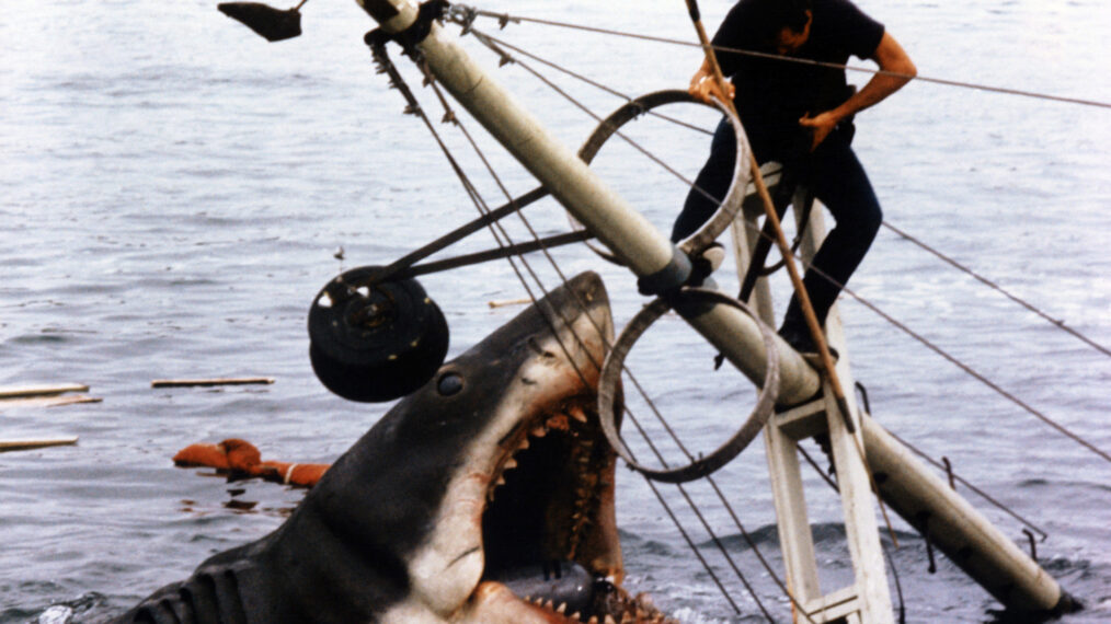 Jaws