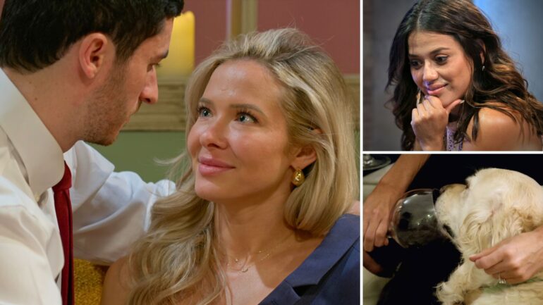 Leo and Brittany of Season 7; Nancy of Season 3; Jessica's dog of Season 1 on 'Love Is Blind'