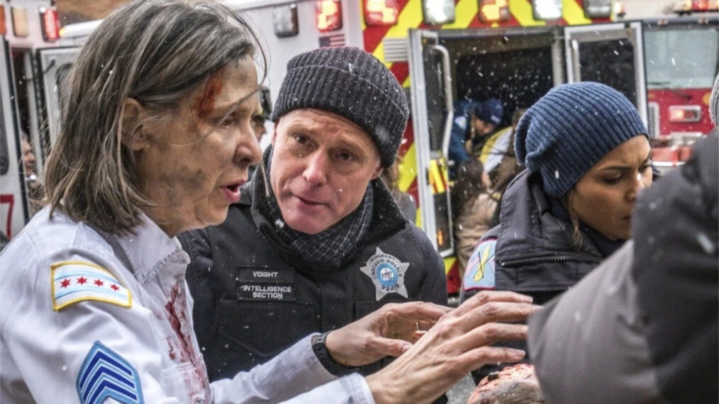 Amy Morton as Trudy Platt and Jason Beghe as Hank Voight in 'Chicago P.D.'