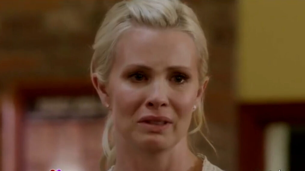 Monica Potter as Kristina Braverman on 'Parenthood'