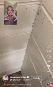 Savannah Chrisley shows the bugs that are on the wall in her father's prison