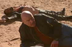 Dean Norris in 'Breaking Bad's Season 5 episode 'Ozymandias'
