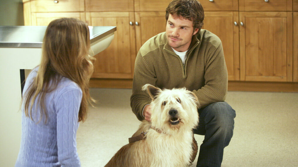 Chris O'Donnell as Finn Dandridge with dog on 'Grey's Anatomy'