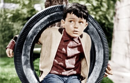 Jerry Mathers in Leave it to Beaver
