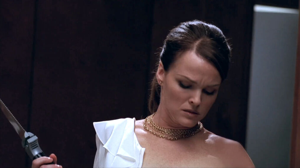 Dina Meyer as Roxy St. James on 'Nip/Tuck'