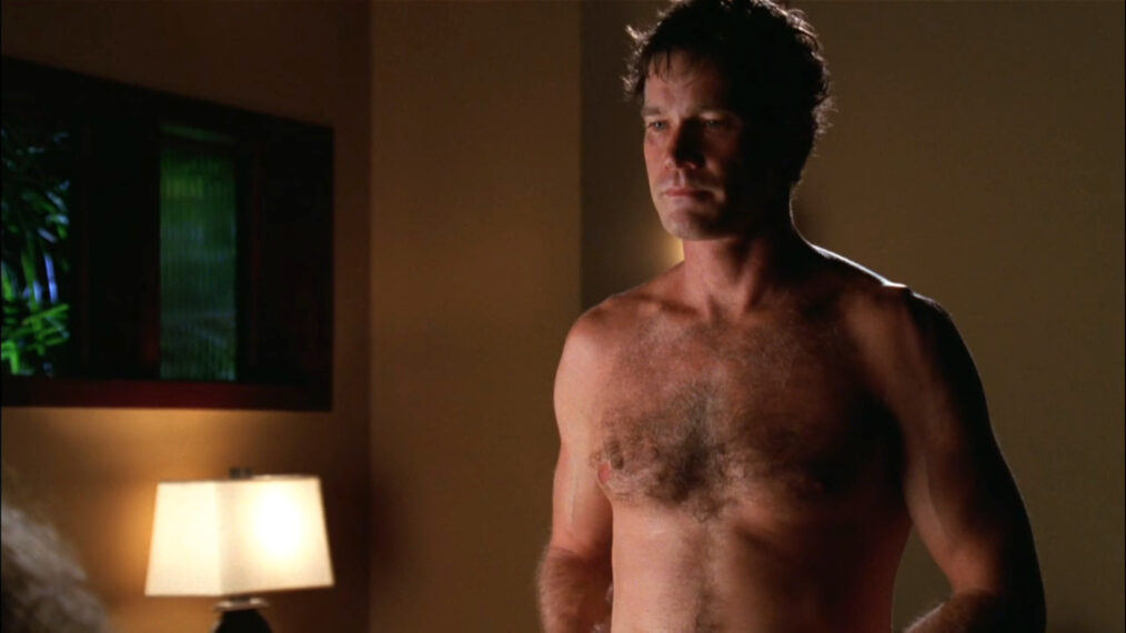 Dylan Walsh as Sean McNamara on 'Nip/Tuck'