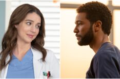 Did 'Grey's Anatomy' Just Soft Launch a New Couple?
