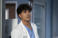 Niko Terho in Grey's Anatomy - 'How Do I Live'