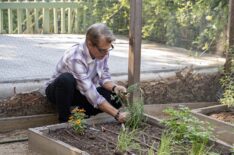 Harry Hamlin gardening