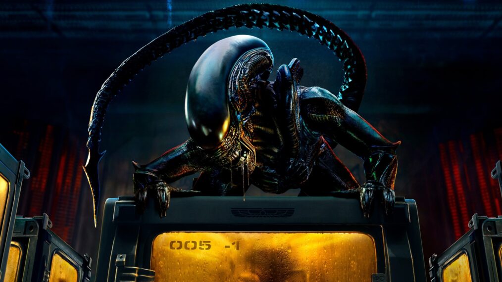 The Xenomorph in 'Alien: Earth'