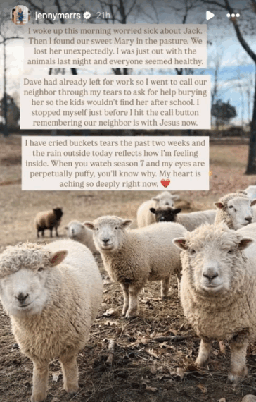 Jenny Marrs Details Family Loss