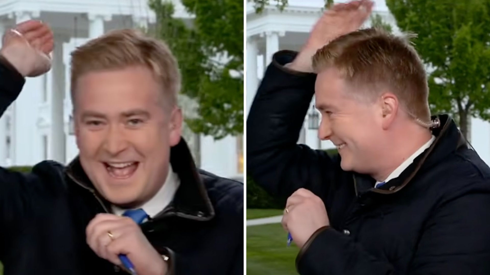  fox news peter doocy gets attacked by bird on white house lawn