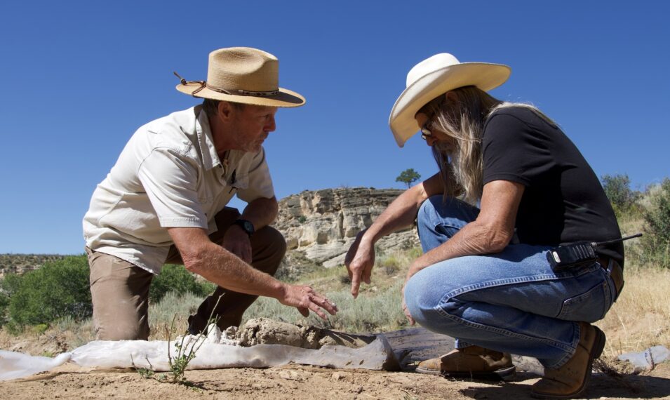 Mystery at Frog Ranch