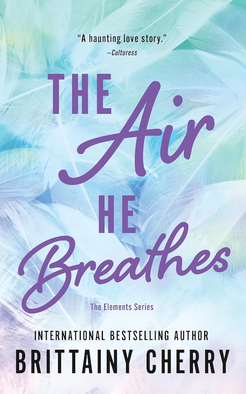 The Air He Breathes by Brittainy Cherry