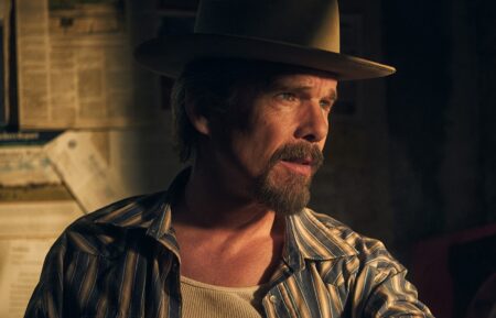 Ethan Hawke in 'The Lowdown'