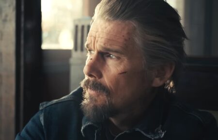 Ethan Hawke in 'The Lowdown'