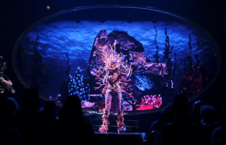 Coral — 'The Masked Singer' Season 13