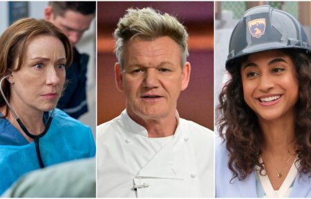 Fox Shows Doc, Hell's Kitchen, and Animal Control