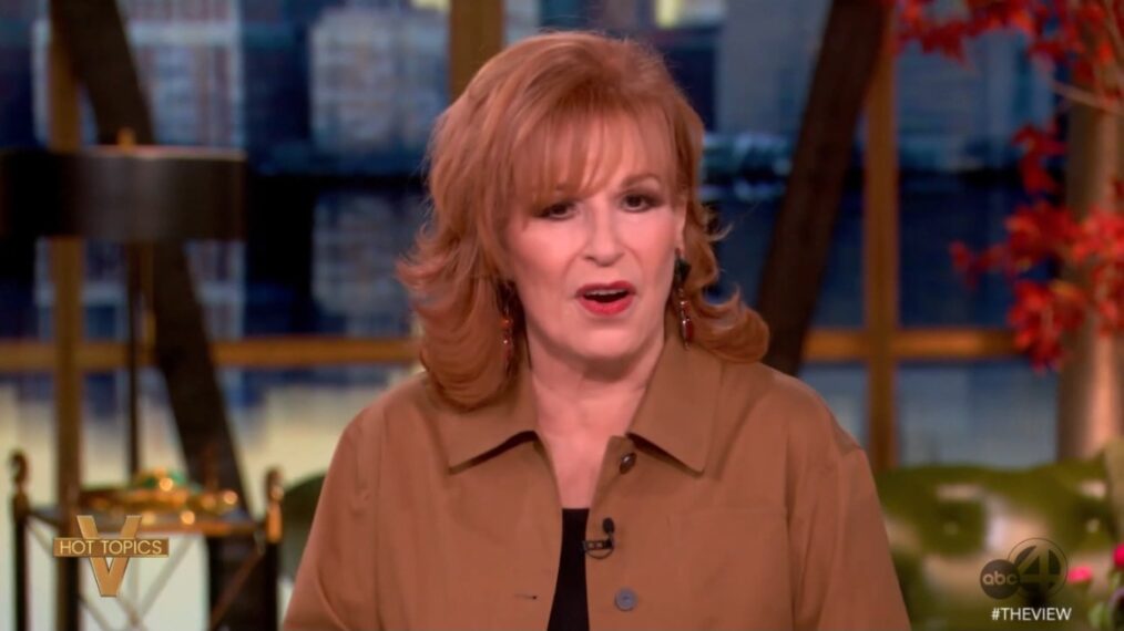 Joy Behar on The View