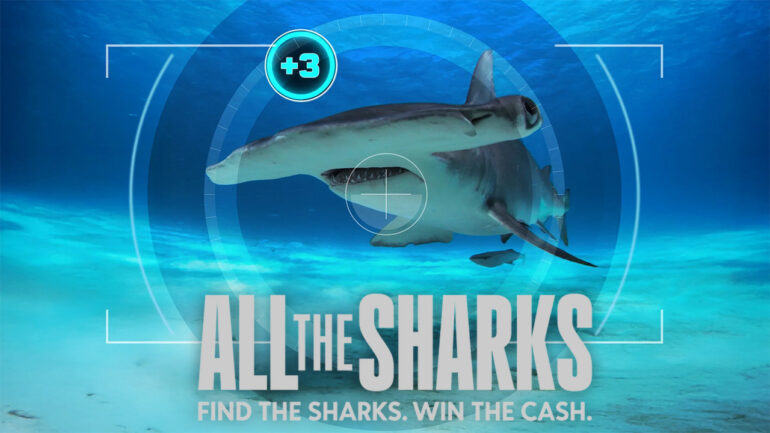 All the Sharks - Netflix