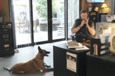 Joel McHale in 'Animal Control' - 'Goats, Snakes, and Dogs'