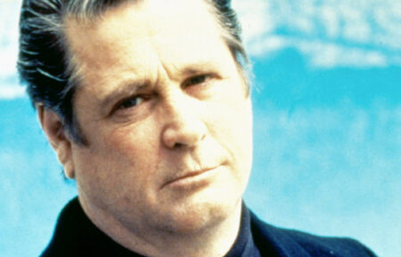 BRIAN WILSON: I JUST WASN'T MADE FOR THESE TIMES, Brian Wilson, 1995