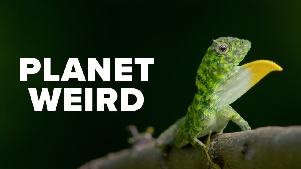 Nat Geo Wild's 'Planet Weird'
