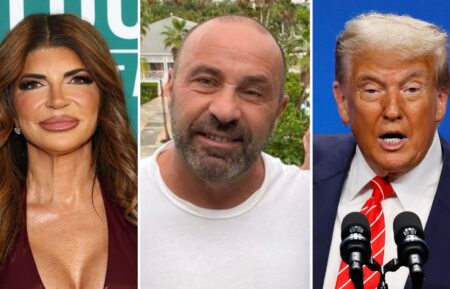 Teresa Giudice, Joe Giudice, and Donald Trump