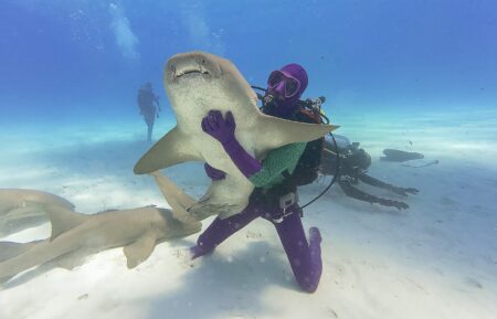 Jamie Ferguson holding shark
