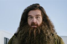 Nick Frost as Hagrid in Harry Potter