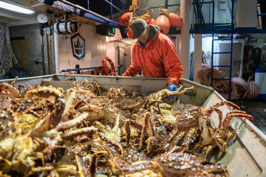 Northwestern deckhand Clark Pederson sorting crab at the table