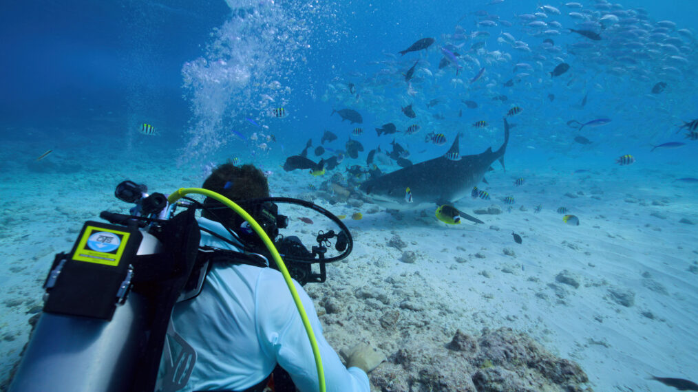 'All the Sharks' Season 1 Episode 1 on Netflix