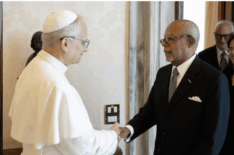 'Finding Your Roots' Team Discovers Pope Leo XIV's Surprising Relatives