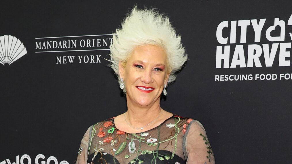 Anne Burrell attends the City Harvest 40th Anniversary Gala at Cipriani 42nd Street on April 25, 2023 in New York City.