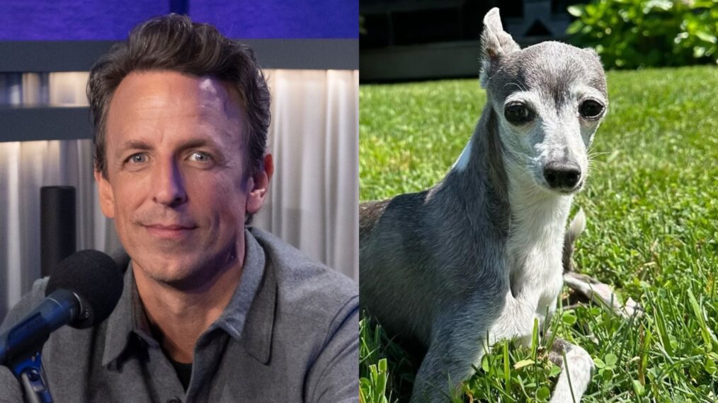 Seth Meyers, dog Frisbee.