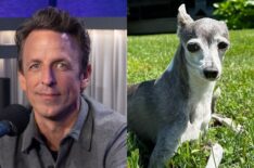 Seth Meyers, dog Frisbee.
