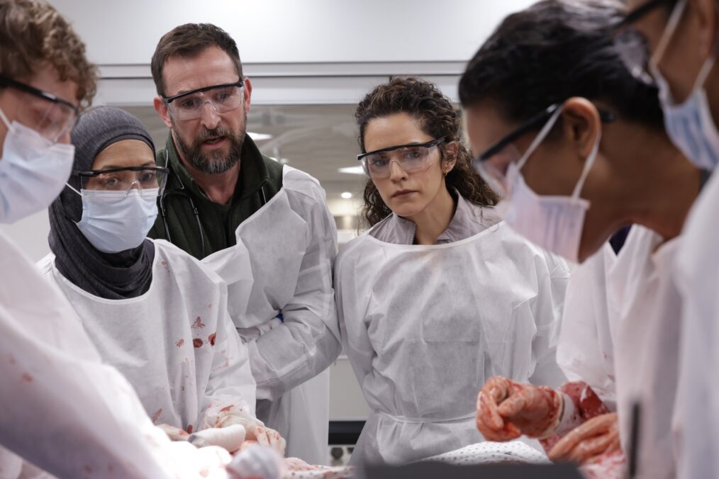 Gerran Howell as Whitaker, Amielynn Abellera as Perlah, Noah Wyle as Robby, and Sepideh Moafi as Al-Hashimi — 'The Pitt' Season 2
