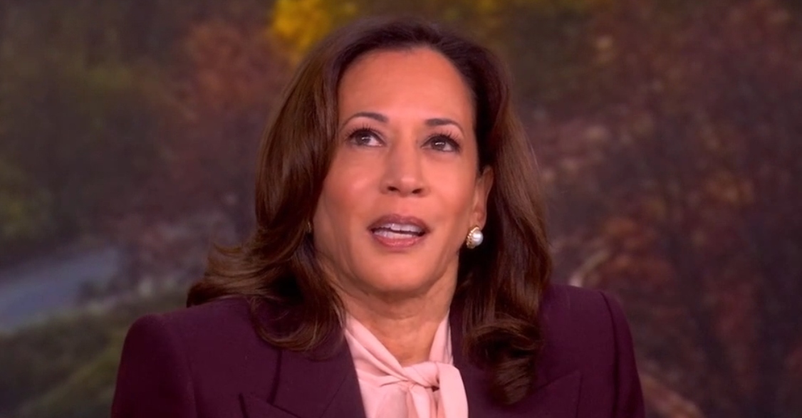 Kamala Harris Addresses Sunny Hostin’s Election-Altering ‘The View’ Second
