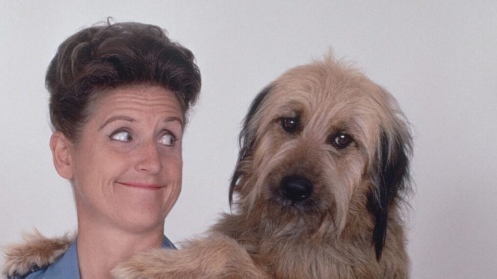 THE BRADY BUNCH, Ann B. Davis, Tiger, (Season 1, 1969), 1969-1974. ph: