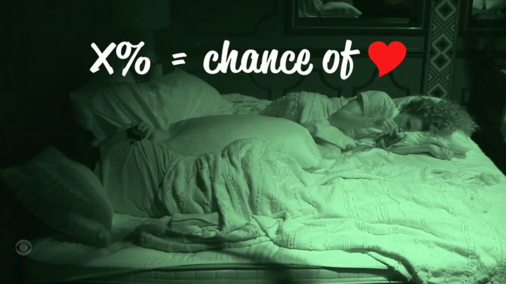 Vince Panaro and Morgan Pope on Big Brother Season 27