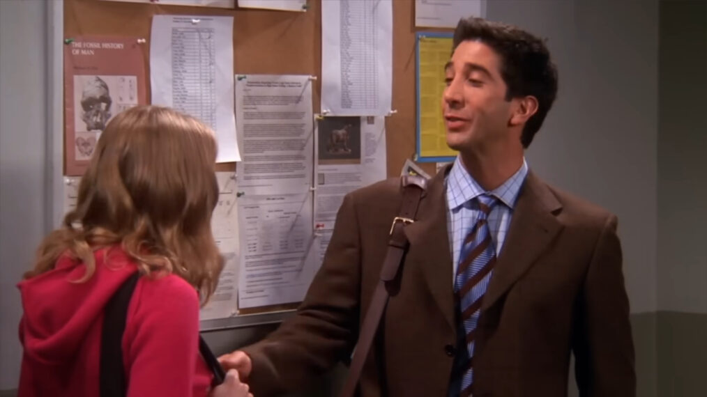 David Schwimmer as Ross in 'Friends'